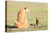 Lioness and cubs, Masai Mara, Kenya, East Africa, Africa-Karen Deakin-Stretched Canvas