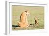 Lioness and cubs, Masai Mara, Kenya, East Africa, Africa-Karen Deakin-Framed Photographic Print