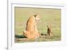 Lioness and cubs, Masai Mara, Kenya, East Africa, Africa-Karen Deakin-Framed Photographic Print