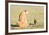 Lioness and cubs, Masai Mara, Kenya, East Africa, Africa-Karen Deakin-Framed Photographic Print