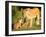 Lioness and cubs, Masai Mara, Kenya, East Africa, Africa-Karen Deakin-Framed Photographic Print