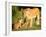 Lioness and cubs, Masai Mara, Kenya, East Africa, Africa-Karen Deakin-Framed Photographic Print