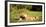 Lioness and cubs, Masai Mara, Kenya, East Africa, Africa-Karen Deakin-Framed Photographic Print