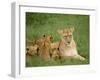 Lioness and Cubs, Masai Mara National Reserve, Kenya, East Africa, Africa-Robert Harding-Framed Photographic Print