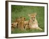 Lioness and Cubs, Masai Mara National Reserve, Kenya, East Africa, Africa-Robert Harding-Framed Photographic Print