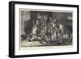 Lioness and Cubs-Samuel John Carter-Framed Giclee Print