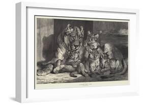 Lioness and Cubs-Samuel John Carter-Framed Giclee Print