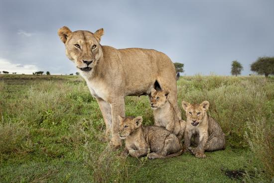 Premium Photographic Print, , large