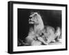 Lioness and Her Cub-null-Framed Photographic Print