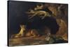 Lioness and Lion in a Cave-George Stubbs-Stretched Canvas