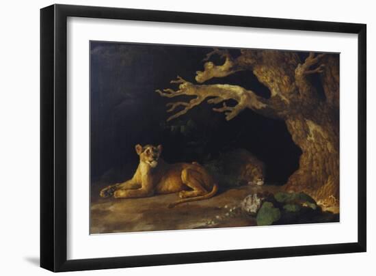 Lioness and Lion in a Cave-George Stubbs-Framed Giclee Print