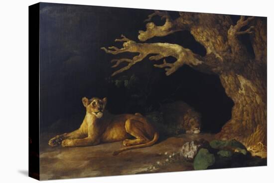 Lioness and Lion in a Cave-George Stubbs-Stretched Canvas