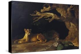 Lioness and Lion in a Cave-George Stubbs-Stretched Canvas