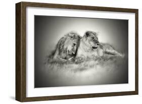 Lioness and Son Sitting and Nuzzling in Botswana Grassland, Africa-Sheila Haddad-Framed Photographic Print