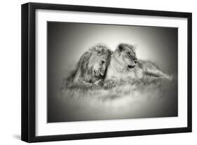 Lioness and Son Sitting and Nuzzling in Botswana Grassland, Africa-Sheila Haddad-Framed Photographic Print