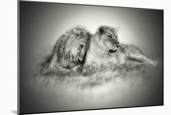 Lioness and Son Sitting and Nuzzling in Botswana Grassland, Africa-Sheila Haddad-Mounted Photographic Print