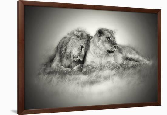 Lioness and Son Sitting and Nuzzling in Botswana Grassland, Africa-Sheila Haddad-Framed Photographic Print