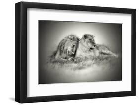 Lioness and Son Sitting and Nuzzling in Botswana Grassland, Africa-Sheila Haddad-Framed Photographic Print