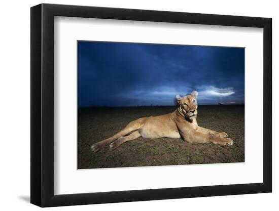 Premium Photographic Print, , large