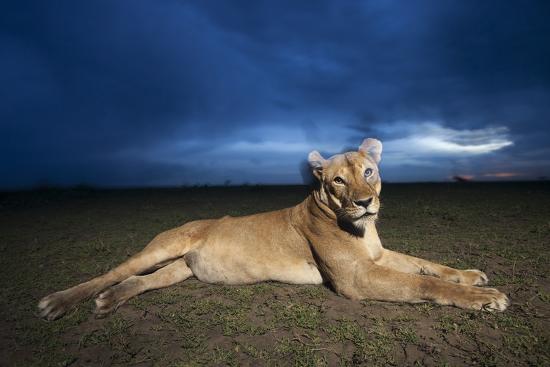 Photographic Print, , large