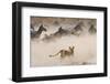 Lioness Attack on a Zebra. National Park. Kenya. Tanzania. Masai Mara. Serengeti. an Excellent Illu-GUDKOV ANDREY-Framed Photographic Print