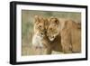 Lioness Greeting-null-Framed Photographic Print