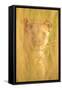 Lioness, Marataba, Marakele National Park-Ben Pipe-Framed Stretched Canvas