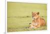 Lioness, Masai Mara, Kenya, East Africa, Africa-Karen Deakin-Framed Photographic Print