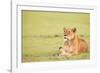 Lioness, Masai Mara, Kenya, East Africa, Africa-Karen Deakin-Framed Photographic Print