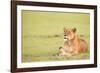 Lioness, Masai Mara, Kenya, East Africa, Africa-Karen Deakin-Framed Photographic Print