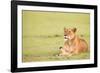 Lioness, Masai Mara, Kenya, East Africa, Africa-Karen Deakin-Framed Photographic Print