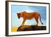 Lioness On A Rock 1-Ata Alishahi-Framed Giclee Print