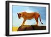 Lioness On A Rock 1-Ata Alishahi-Framed Giclee Print