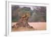 Lioness on Termite Mound-Paul Souders-Framed Photographic Print