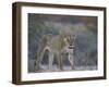 Lioness (Panthera Leo), Kgalagadi Transfrontier Park-James Hager-Framed Photographic Print