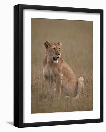 Lioness (Panthera Leo), Serengeti National Park, Tanzania, East Africa, Africa-James Hager-Framed Photographic Print