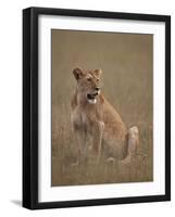 Lioness (Panthera Leo), Serengeti National Park, Tanzania, East Africa, Africa-James Hager-Framed Photographic Print