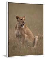 Lioness (Panthera Leo), Serengeti National Park, Tanzania, East Africa, Africa-James Hager-Framed Photographic Print