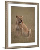 Lioness (Panthera Leo), Serengeti National Park, Tanzania, East Africa, Africa-James Hager-Framed Photographic Print