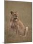 Lioness (Panthera Leo), Serengeti National Park, Tanzania, East Africa, Africa-James Hager-Mounted Photographic Print