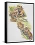 Lioness (Panthera Leo) with Her Cubs, Felidae-null-Framed Stretched Canvas