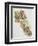 Lioness (Panthera Leo) with Her Cubs, Felidae-null-Framed Premium Giclee Print