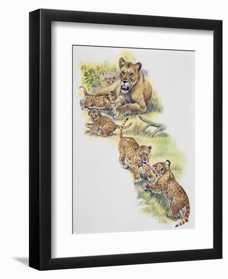 Lioness (Panthera Leo) with Her Cubs, Felidae-null-Framed Premium Giclee Print