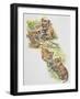 Lioness (Panthera Leo) with Her Cubs, Felidae-null-Framed Giclee Print