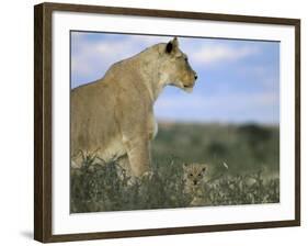 Lioness (Panthera Leo) with Small Cub, Kalahari Gemsbok Park, South Africa, Africa-Steve & Ann Toon-Framed Photographic Print