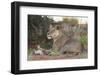 Lioness (Panthera Leo) with Small Cub, Kgalagadi Transfrontier Park, South Africa, Africa-Ann and Steve Toon-Framed Photographic Print