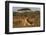 Lioness (Panthera leo), Zimanga private game reserve, KwaZulu-Natal-Ann and Steve Toon-Framed Photographic Print