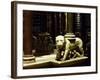 Lioness Pulpit, 1265-1268-Nicola Pisano-Framed Giclee Print