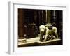 Lioness Pulpit, 1265-1268-Nicola Pisano-Framed Giclee Print