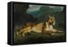 Lioness Reclining, C.1855-Eugene Delacroix-Framed Stretched Canvas